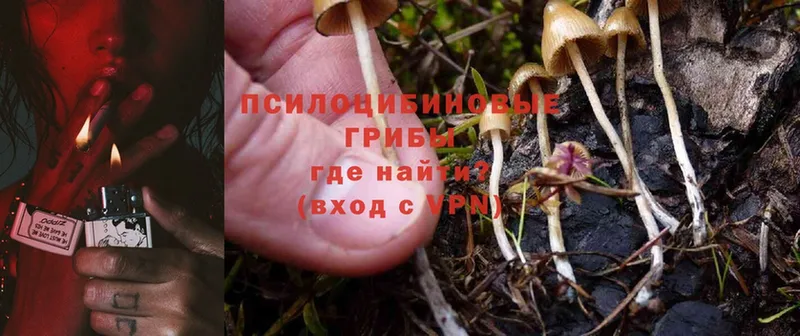 hydra зеркало  Галич  Галлюциногенные грибы MAGIC MUSHROOMS 